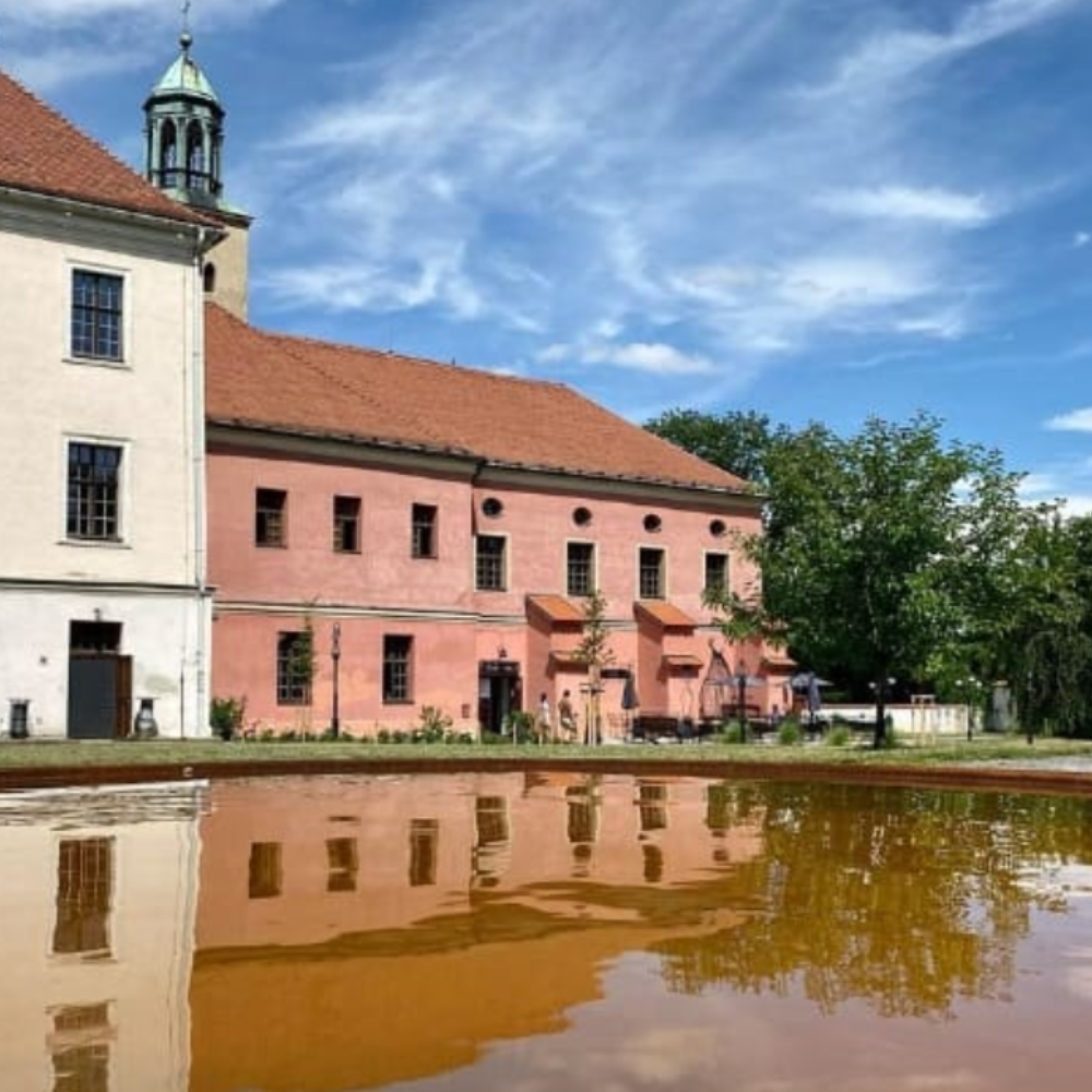 Hudební podvečer s Olgou Procházkovou